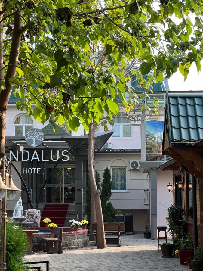 Andalus Hotel 4*